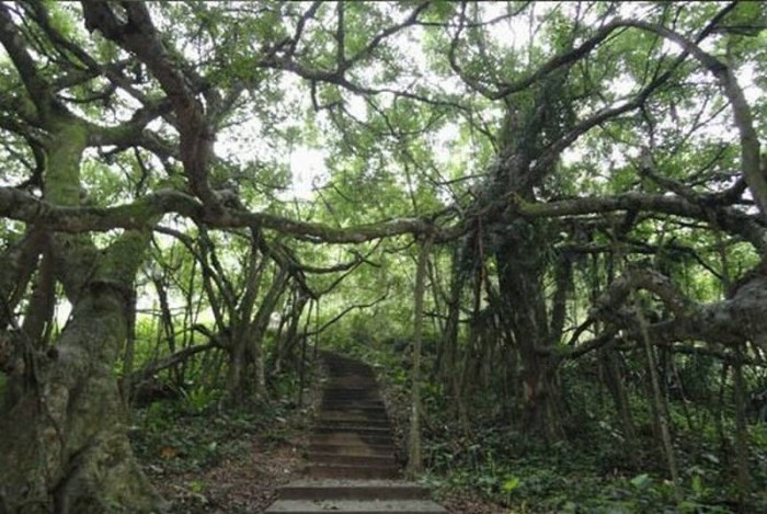 百里百村