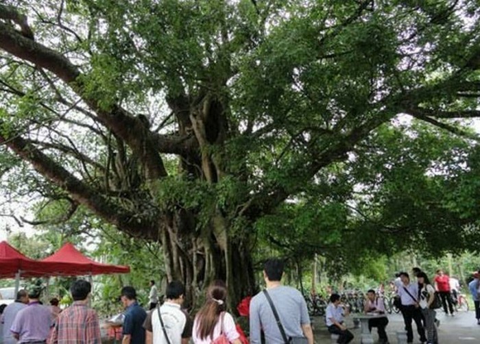 百里百村