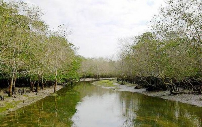 排港村八门湾