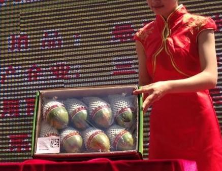 海南农博会在屯昌开幕 可竞拍到“极品”水果 
