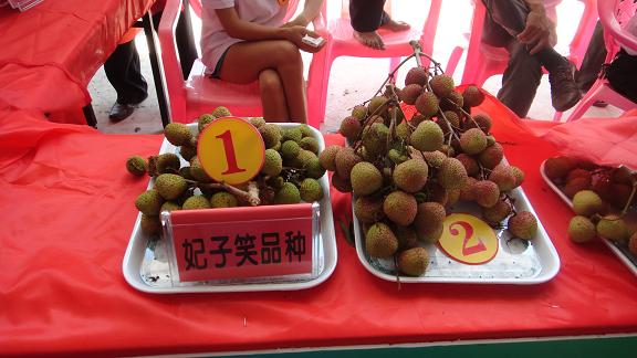海口荔枝节在琼山三门坡镇举办