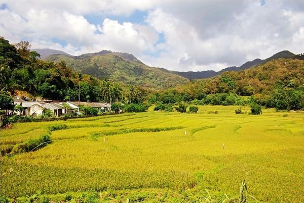 百花岭