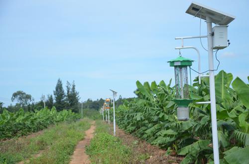 太阳能灭虫灯投入农业使用