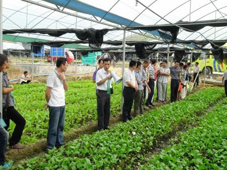 省农业厅于常年蔬菜生产技术培训班