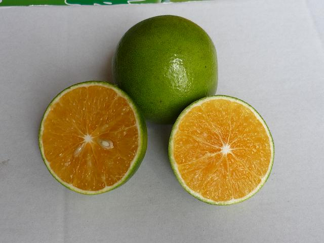 绿橙