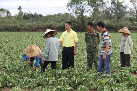 东方市种植业灾后灾后恢复生产自救技术措施