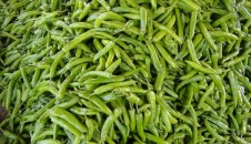 武汉市场节后海南蔬菜价格回落