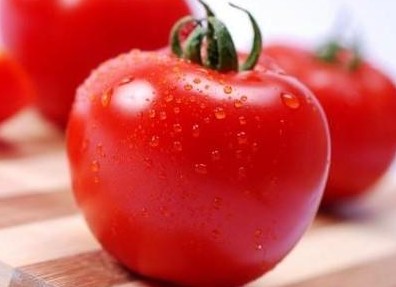 西红柿价格持续上涨