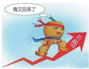 “姜你军”重现天日