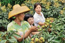 5月，来荔乡趣游